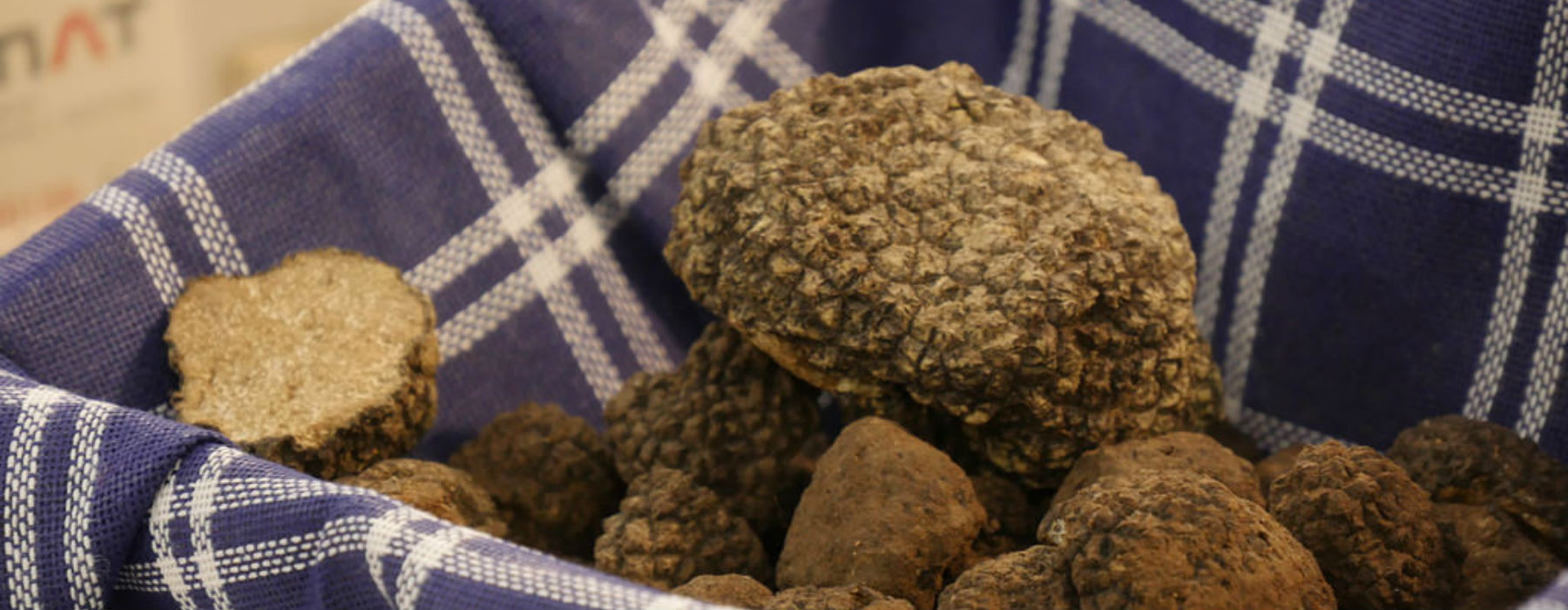 tartufo bianco tartufo bianco