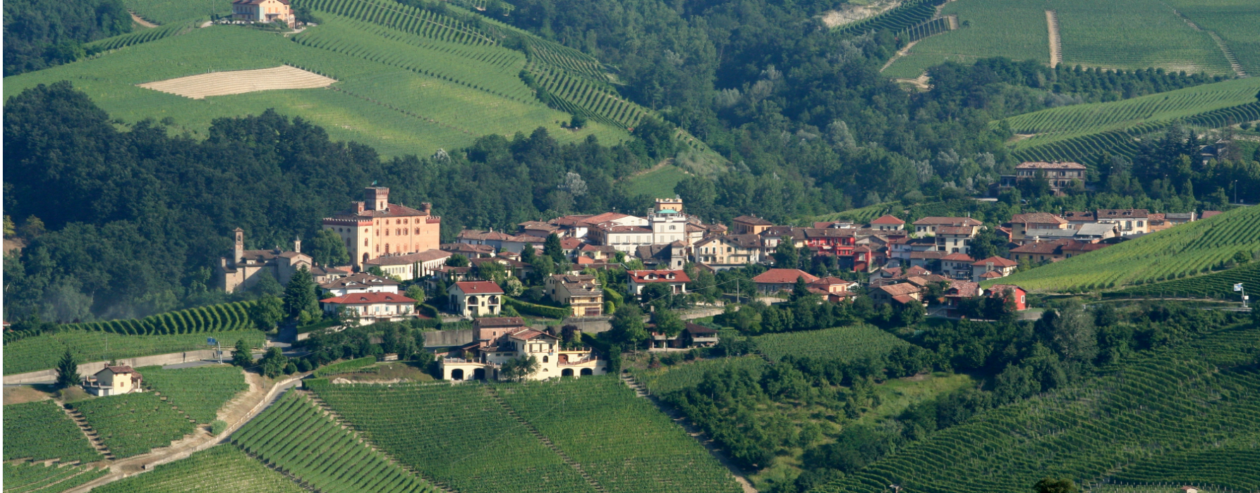 Vista panoramica di Barolo