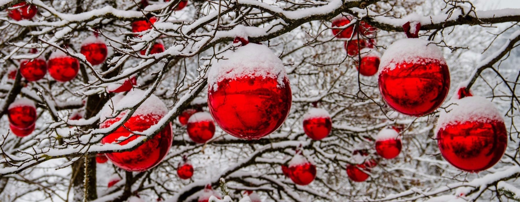 Albero natalizio Albero natalizio