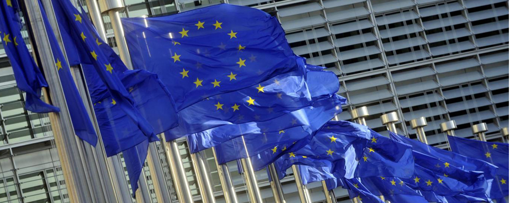 Bandiere Unione Europea Bandiere Unione Europea