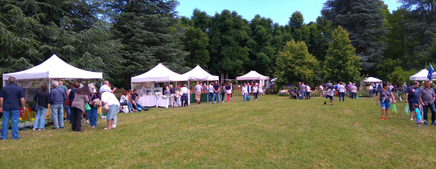 Foto dell'evento Fiorissima Foto dell'evento Fiorissima