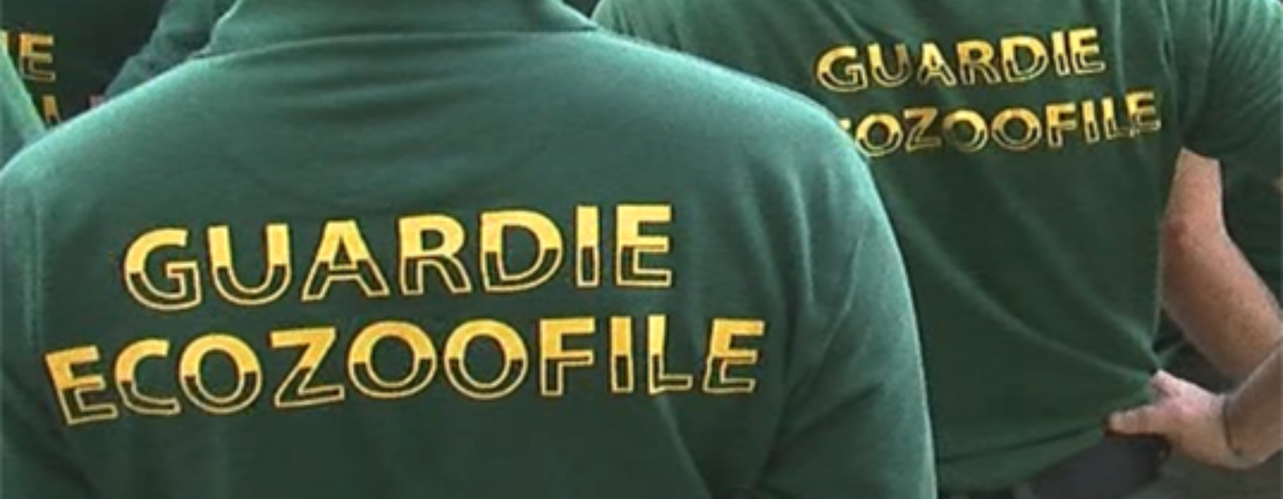 divisa guardie eco zoofile