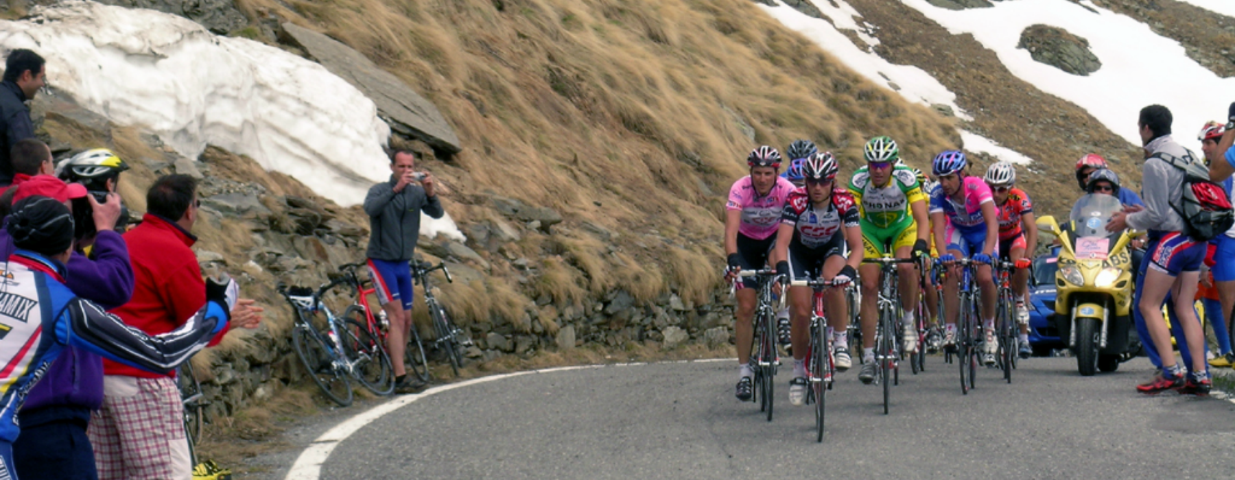 Gruppo Maglia rosa al Giro d'Italia