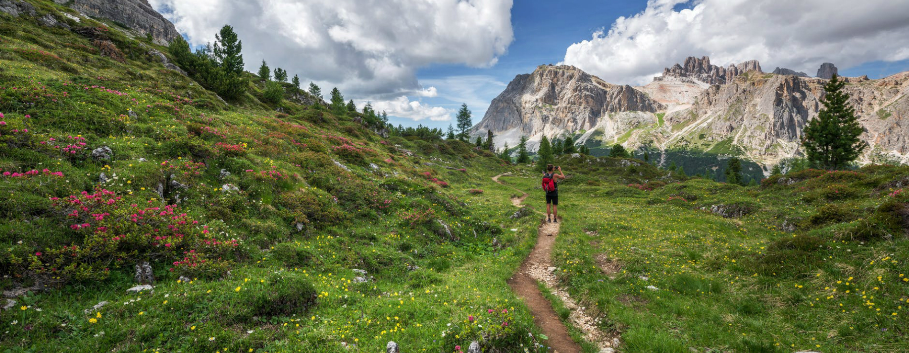 Paesaggio di montagna Paesaggio di montagna