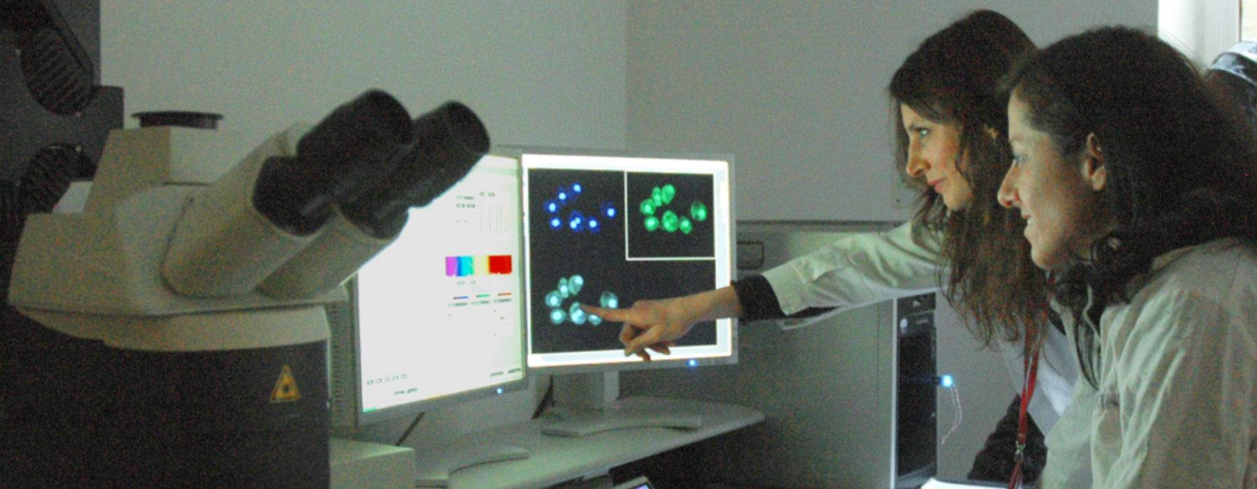 Ricercatrici Ricercatrici