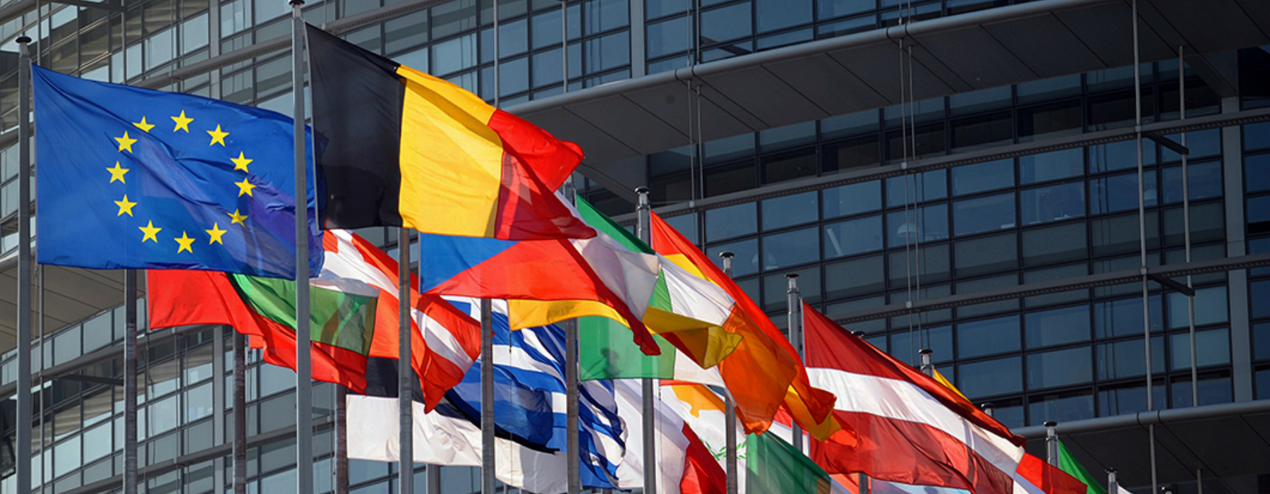 Bandiere al Parlamento Europeo Bandiere al Parlamento Europeo