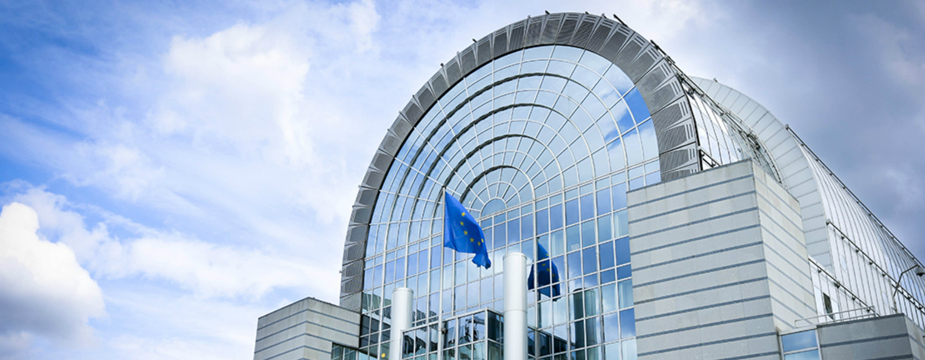 Parlamento europeo Bruxelles Parlamento europeo Bruxelles