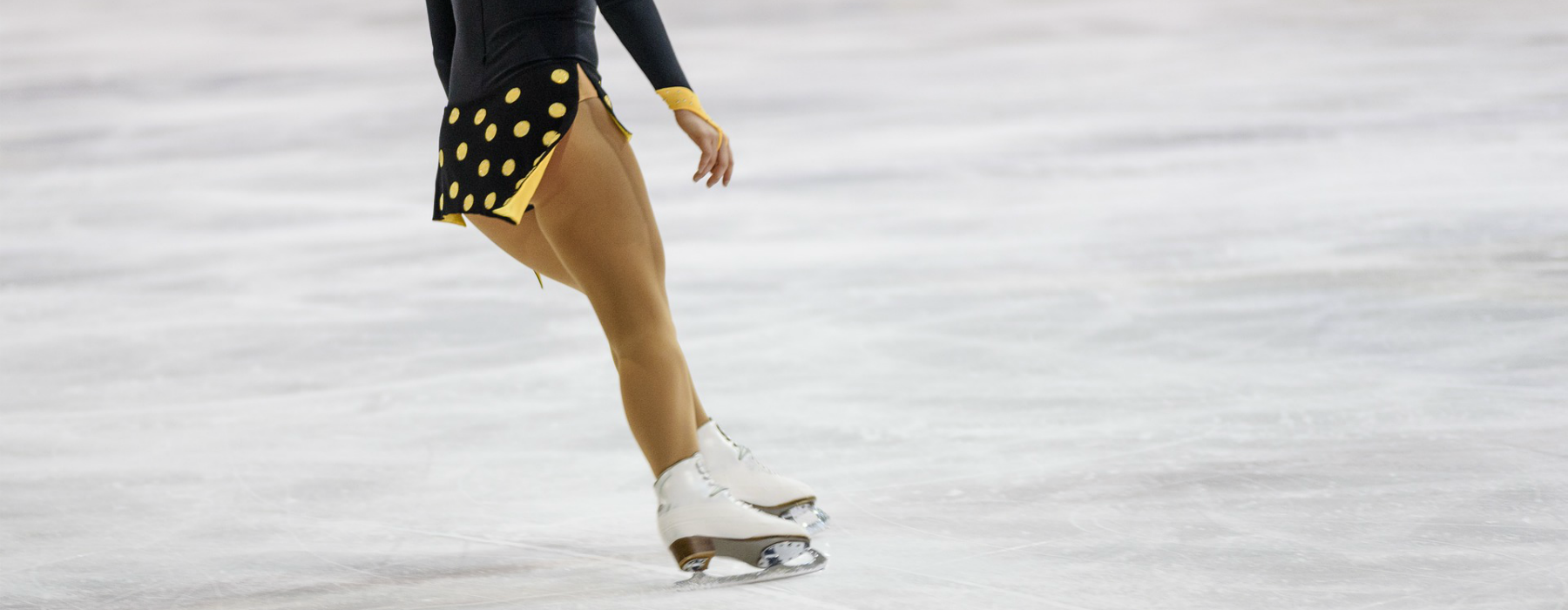 Pattinatrice Pattinatrice
