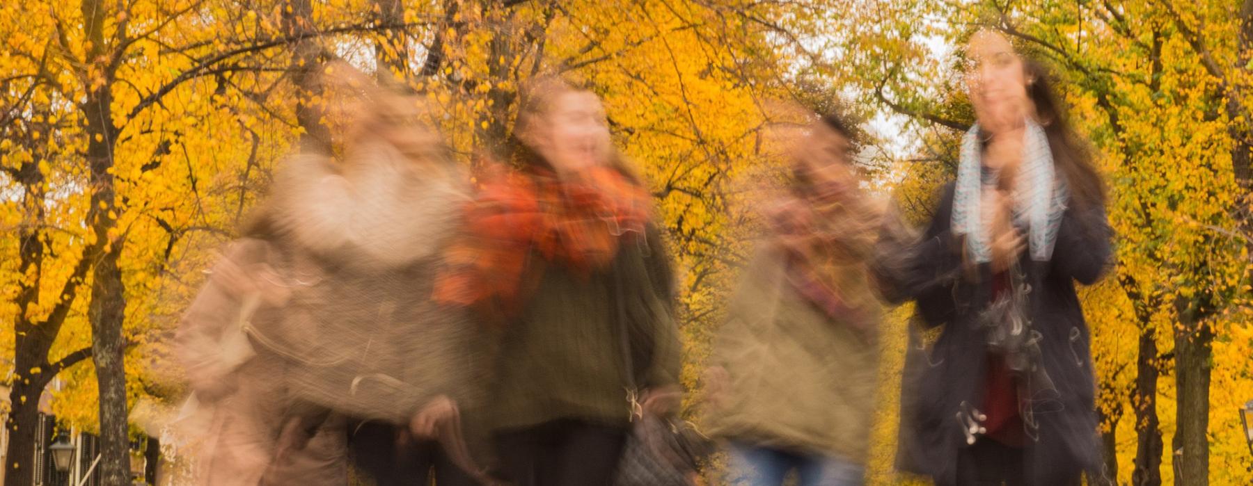 Ragazze camminano in un parco in autunno