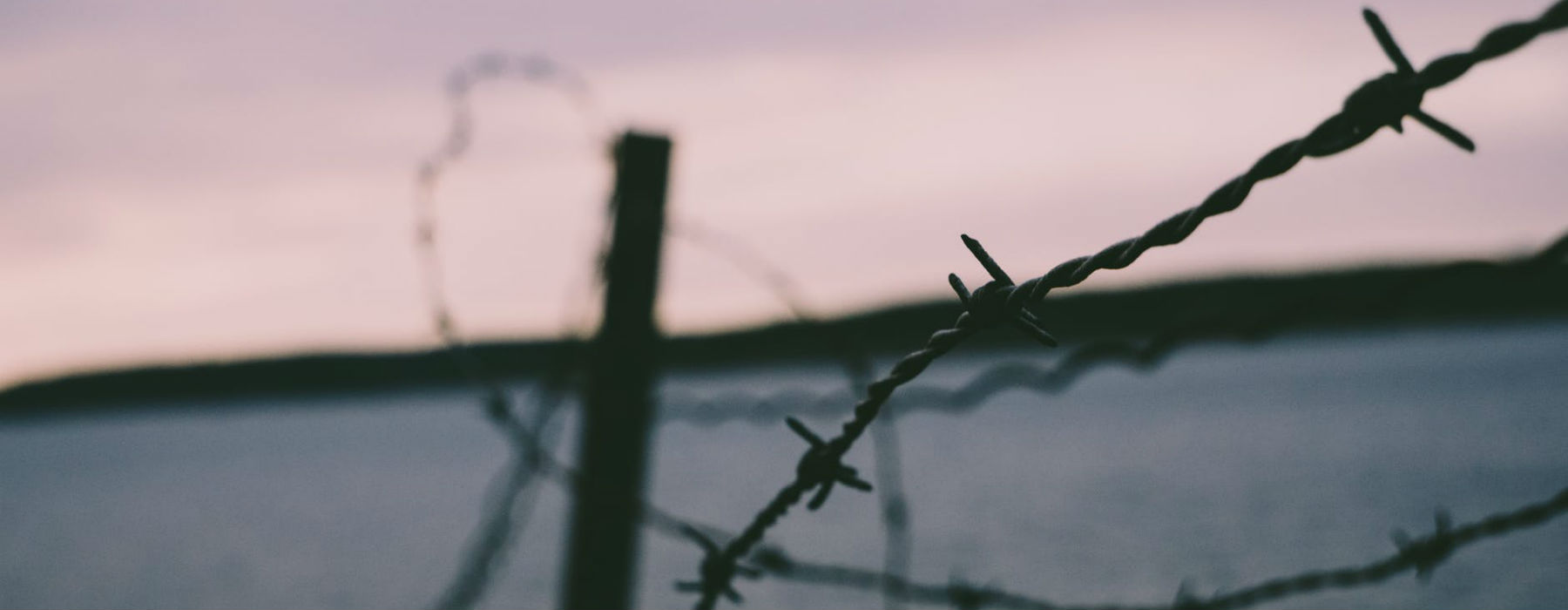 filo spinato filo spinato