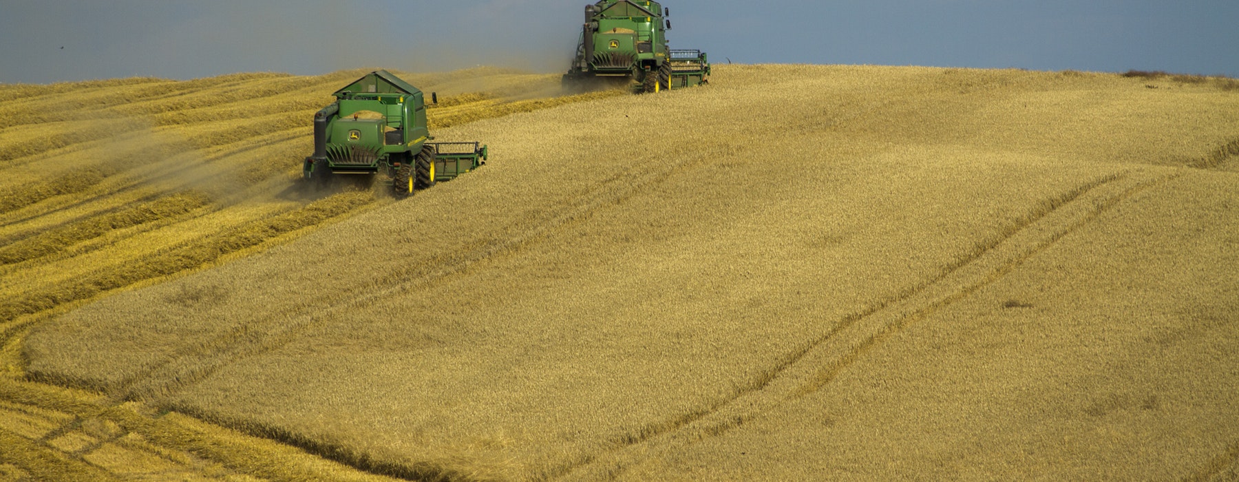 Trattori in un campo