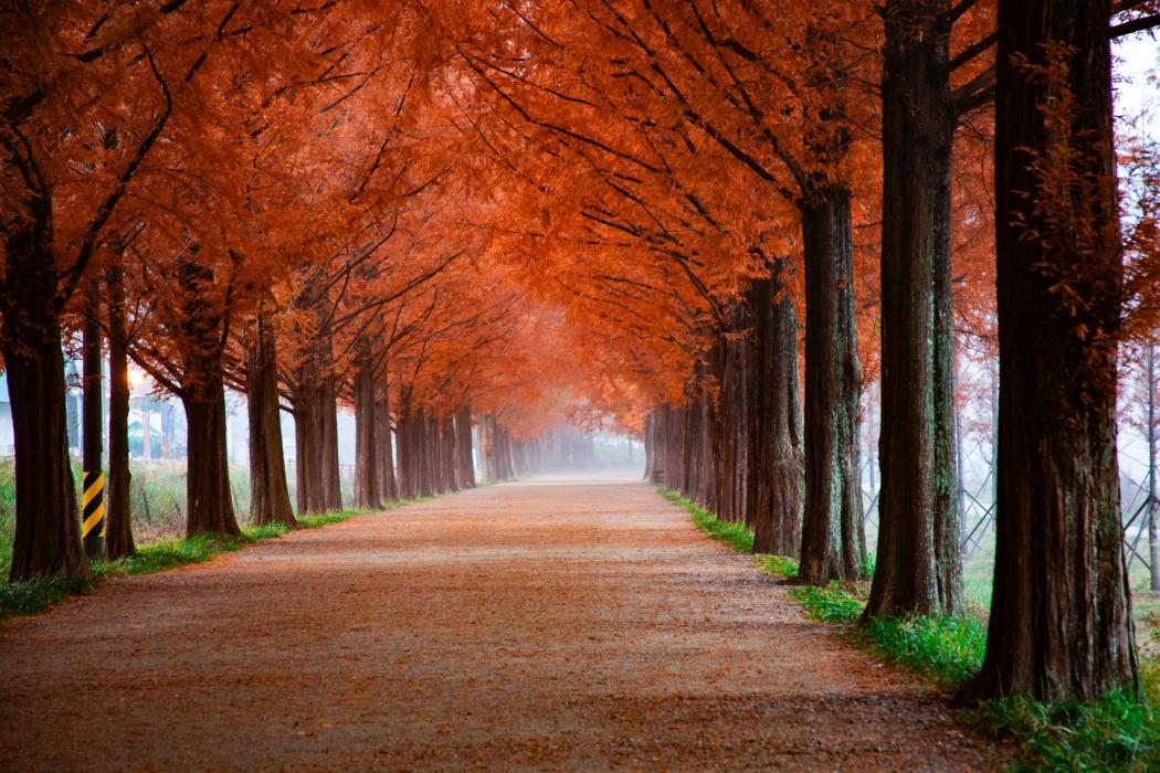 autunno autunno