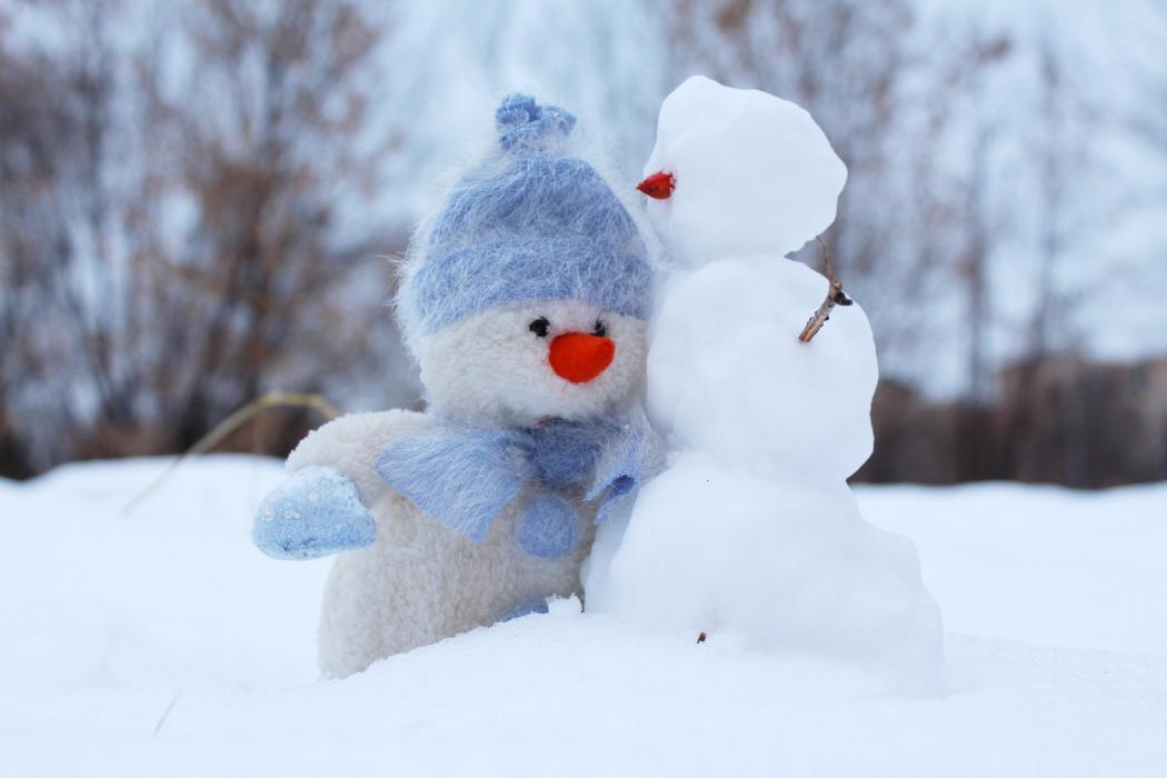 neve neve