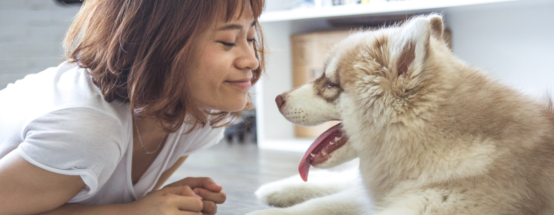 Ragazza con cane Ragazza con cane