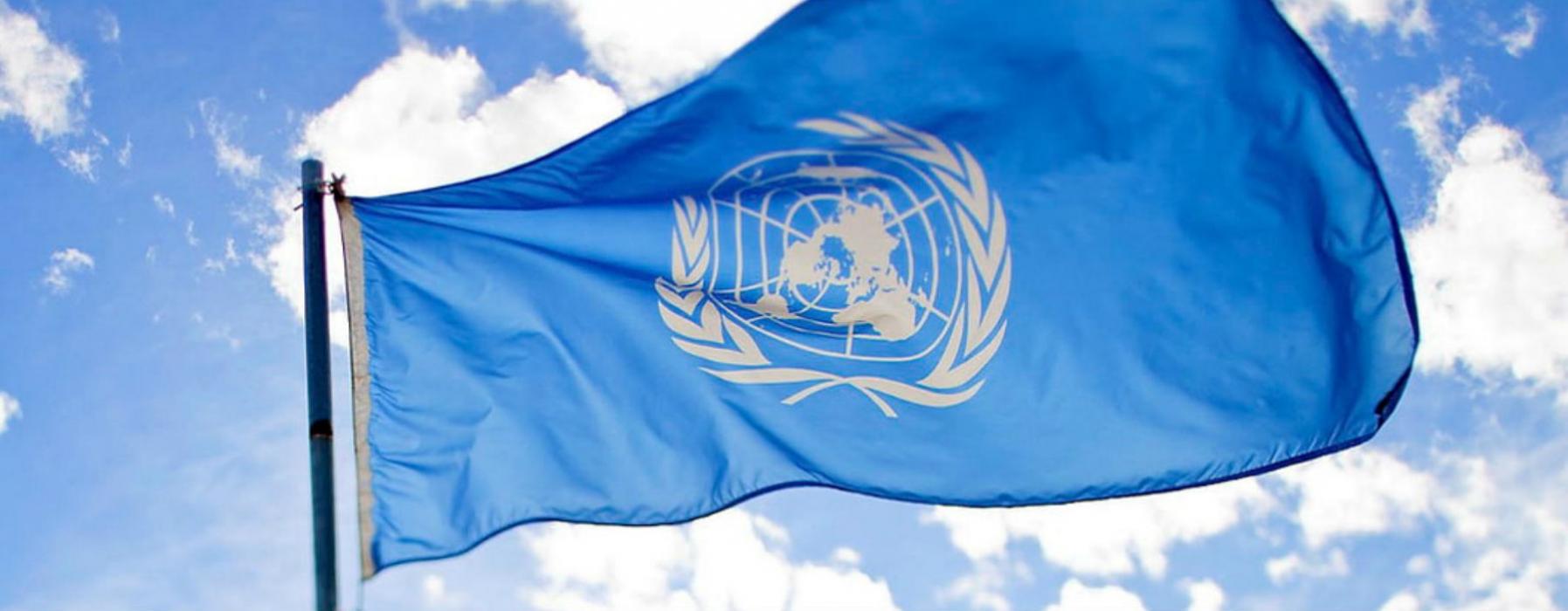 bandiera Nazioni Unite